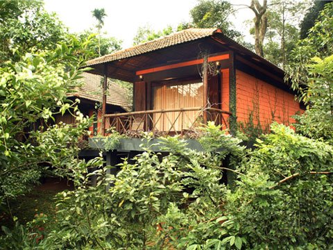 Stream Valley Cottages Wayanad