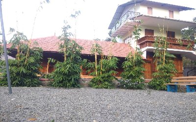 VAGAMON BAMBOO NEST RESORT