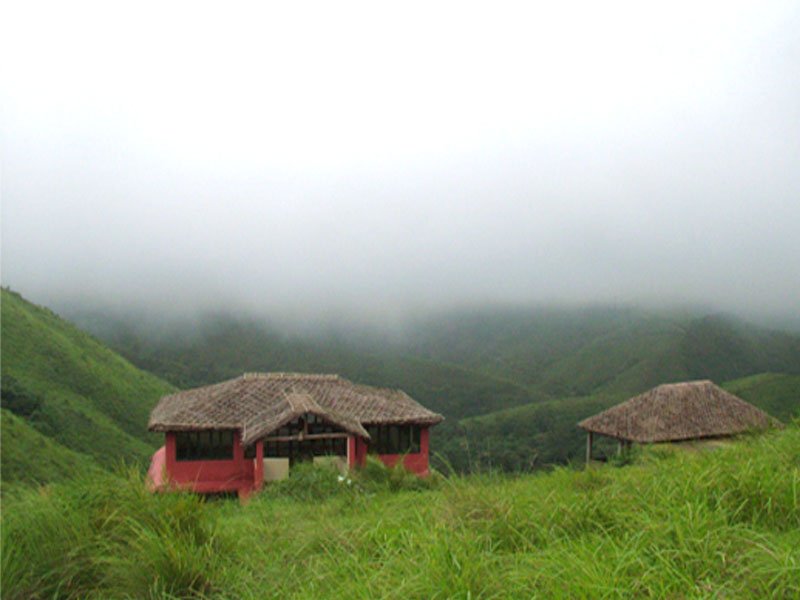 GREEN MEADOWS