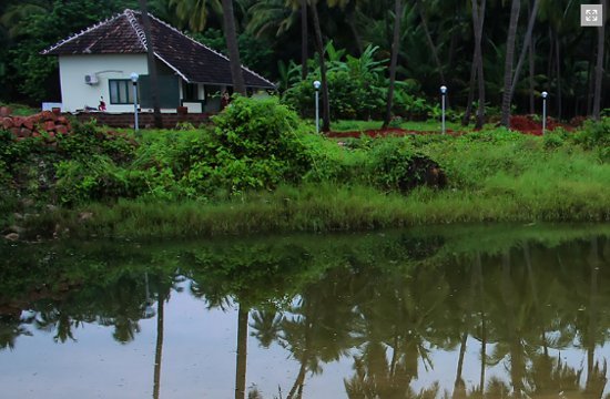 BLUE MERMAID HOMESTAY