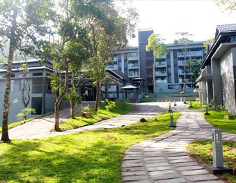 MOUNTAIN COURTYARD 